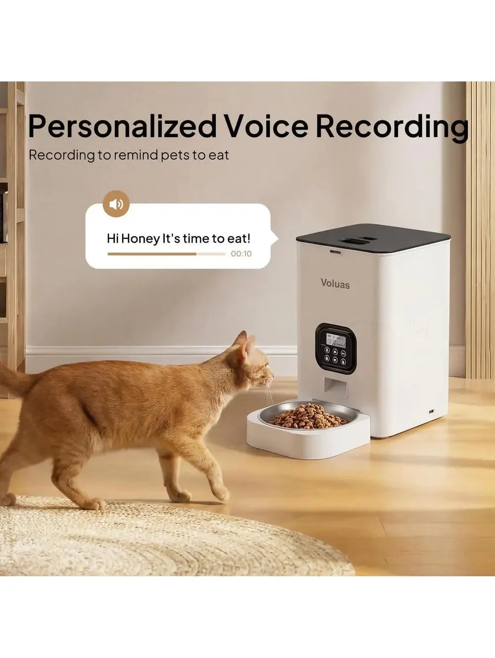Automatic Cat Feeder 4L Timed Dry Food Dispenser for Cats & Dogs